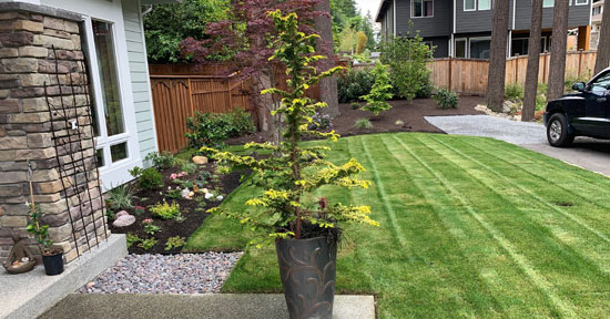 landscaping-design-in-edmonds-wa